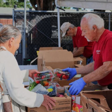 volunteer preparing a box of groceries for a client